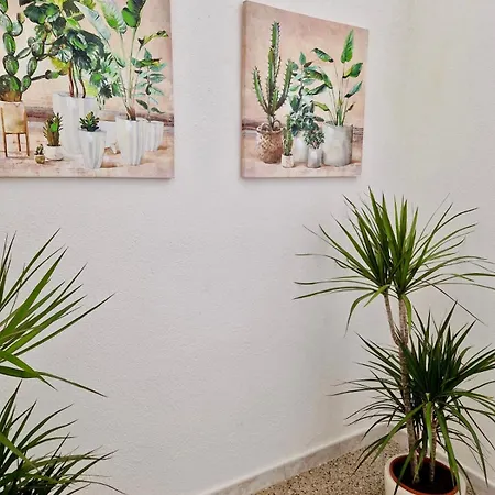 La Casa Di Gio In Centro オルビア