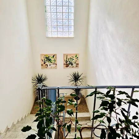 Apartment La Casa Di Gio In Centro Olbia