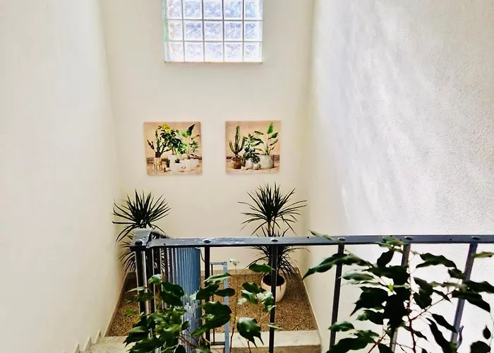 Appartamento La Casa Di Gió In Centro Olbia